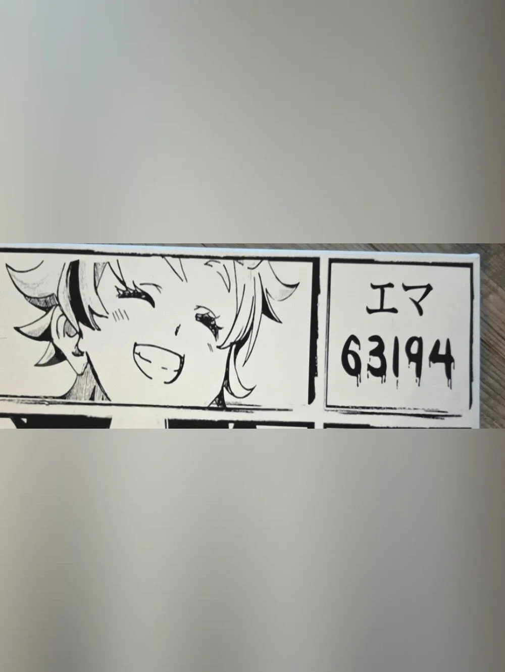 The Promised Neverland Anime Graphic Wall Art Canvas (NEW) Limited Edition